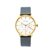 Noxbridge Classic Alcyone Gold 36MM
