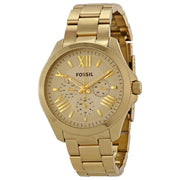 Fossil Cecile Multifunction Champagne Dial Ladies Watch AM4510